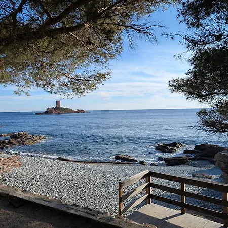 Superbe T2 A 3mn A Pied De La De Cap Long Lägenhet Saint-Raphaël