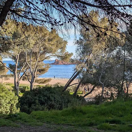 Superbe T2 A 3mn A Pied De La De Cap Long Apartment