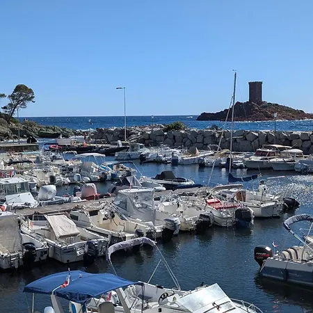 Apartment Superbe T2 A 3mn A Pied De La De Cap Long *