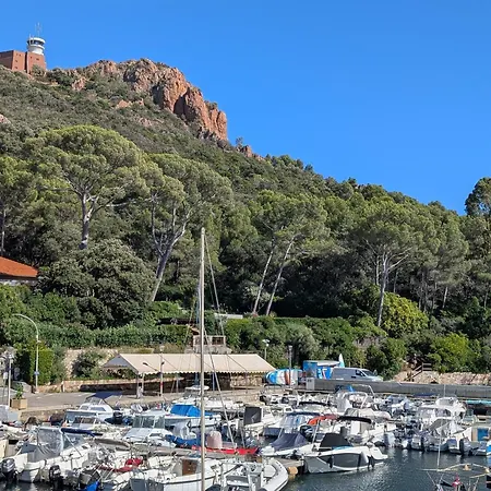 Superbe T2 A 3mn A Pied De La De Cap Long Apartment