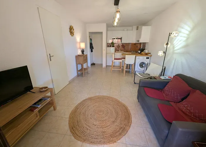 Superbe T2 A 3mn A Pied De La De Cap Long Apartment