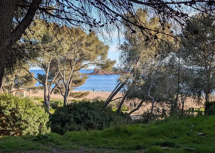 Superbe T2 A 3mn A Pied De La De Cap Long Apartment