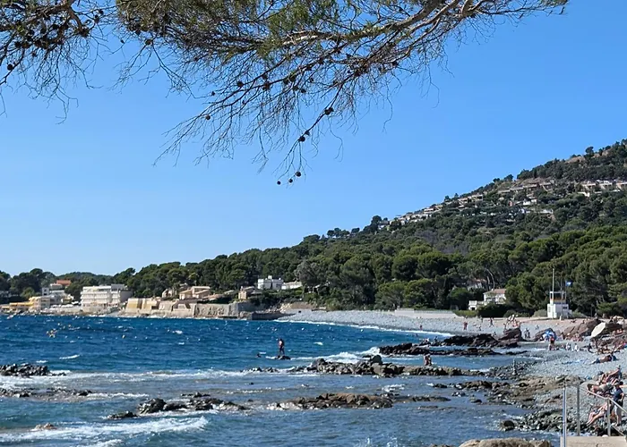 Superbe T2 A 3mn A Pied De La De Cap Long Apartment