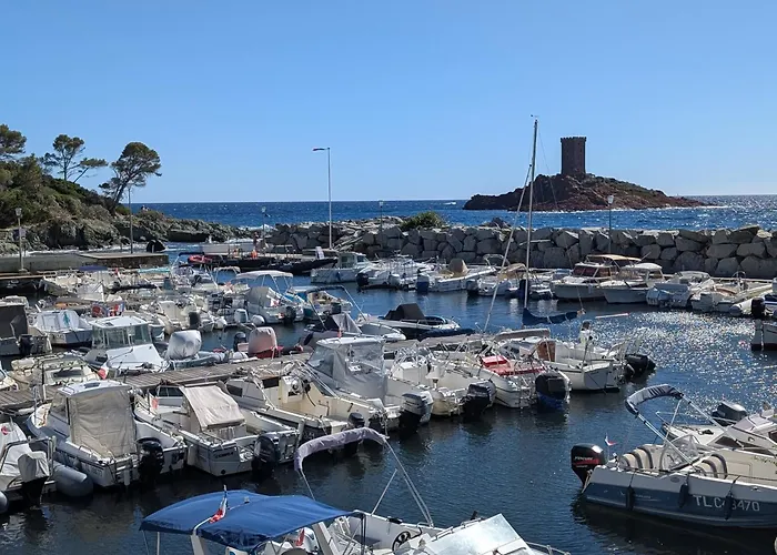 Apartment Superbe T2 A 3mn A Pied De La De Cap Long *