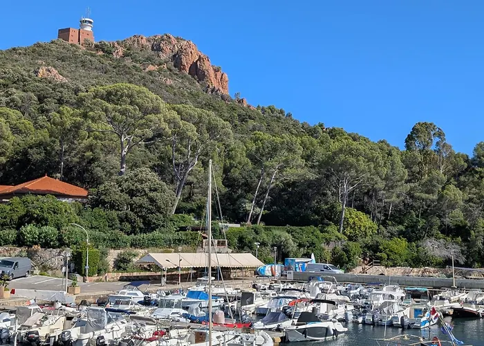 Superbe T2 A 3mn A Pied De La De Cap Long Apartment